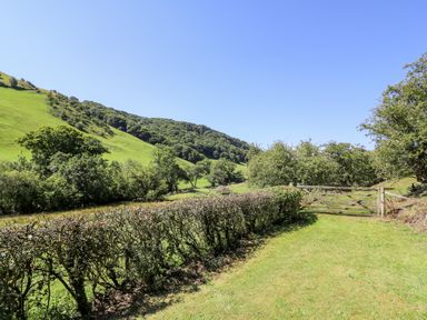 A grassy pathway with a hedge fence and wooden gate leading to green hills at Dolgenau Hir - The Barn in Llawr y Glyn near Trefeglwys