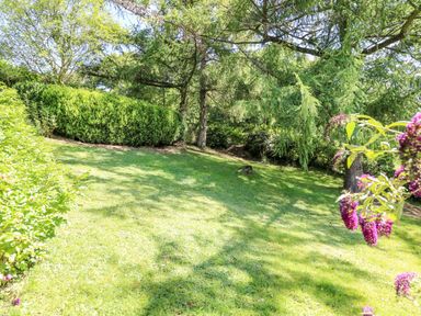 A garden with grass lawn trees shrubs and purple flowers at Dolgenau Hir - The Barn in Llawr y Glyn near Trefeglwys