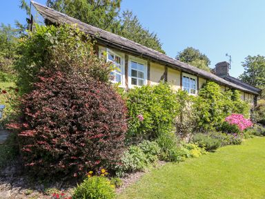A house with multiple windows surrounded by bushes and flowers in a garden