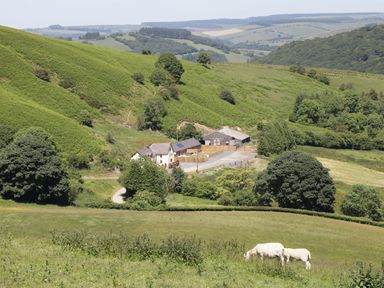 A rural farm with white cows grazing on grassy fields and buildings surrounded by green hills at 1 Beacon View Barn in Beguildy near Knighton