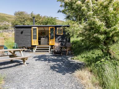 A small black wooden hut with open doors and wooden furniture outside near a tree at Moelfre - Shepherds Hut in Llanbedr