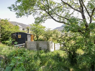 A small black wooden hut with yellow framed windows surrounded by trees and greenery with mountains in the background at Moelfre - Shepherds Hut in Llanbedr