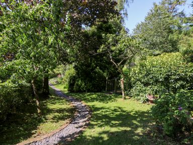 A garden path bordered with trees and shrubs at Lower Dolgenau The Cottage in Llawryglyn near Llanidloes