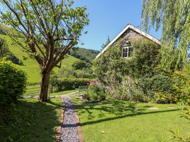 A garden path with a tree and a bench next to a cottage covered in plants at Lower Dolgenau The Cottage in Llawryglyn near Llanidloes