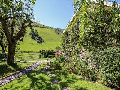 A garden with a tree a bench flowers and a stone path next to a house covered in ivy at Lower Dolgenau The Cottage in Llawryglyn near Llanidloes