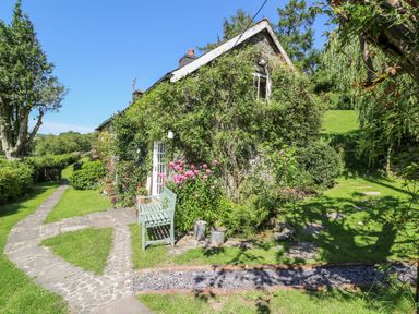 A cottage covered with climbing plants surrounded by a garden with pathways at Lower Dolgenau The Cottage in Llawryglyn near Llanidloes