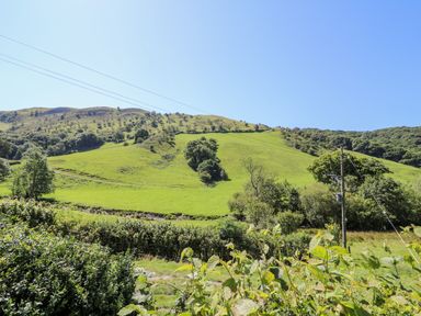 A green hillside with trees and bushes under a clear blue sky at Lower Dolgenau- The Cottage in Llawryglyn near Llanidloes