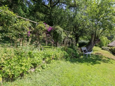 A garden area with green plants purple flowers a wooden trellis and a metal bench at Lower Dolgenau- The Cottage in Llawryglyn near Llanidloes