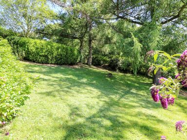 A garden with grass trees and purple flowers at Lower Dolgenau- The Cottage in Llawryglyn near Llanidloes