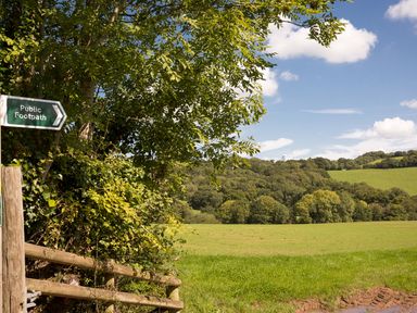 A green field with trees and a public footpath sign at Salters in Black Dog near Crediton