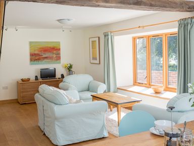 A living room with light blue armchairs a wooden coffee table and a window with green curtains at Salters Black Dog near Crediton