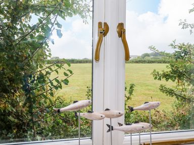 A window with six decorative fish on stands in front looking out to a green field and bushes at Bolitho's Retreat in Helford