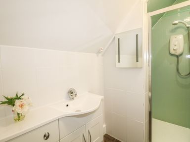 A bathroom with a white sink cabinet flowers on the counter a wall mirror and a shower with green tiled walls at Bolenowe Trebetherick near Polzeath