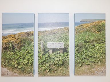 A triptych image of a coastal landscape with green foliage yellow flowers and a sign reading to the beach at Bolenowe Trebetherick near Polzeath