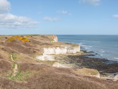 A coastal cliff with a path leading through grassy and brown vegetation by the sea at Lilly May Cottage in Flamborough