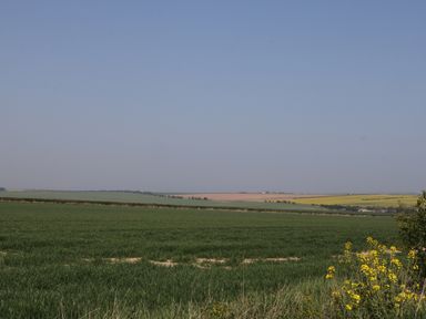 A rural landscape with green fields and yellow flowers under a clear sky at Lilly May Cottage in Flamborough