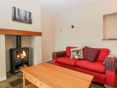 A living room with a red sofa a wood burning stove and a wooden coffee table at Pippins in Bream