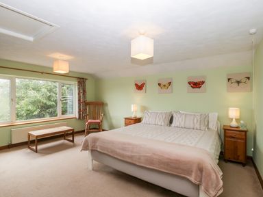 A bedroom with a double bed bedside tables lamps a wooden chair a bench and butterfly pictures on the wall at Pippins in Bream