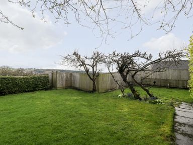 A garden with grass lawn and leafless trees next to a wooden fence at Pippins in Bream
