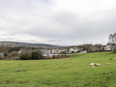 A grassy field with sheep and houses in the background at Pippins in Bream