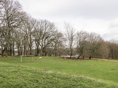 A grassy field with a football goalpost sheep and trees at Pippins in Bream