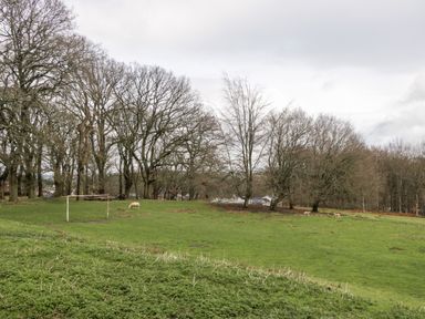 A grassy field with leafless trees and a soccer goalpost at Pippins in Bream