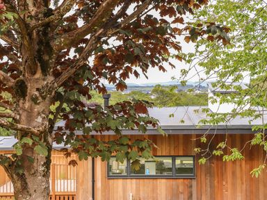 A tree with red and green leaves in front of a wooden house with a window at Ash in Truro