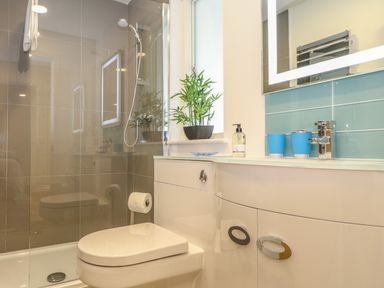 A bathroom with a toilet, shower, sink, mirror, blue cups, soap dispenser, and a plant on the counter at Ash in Truro