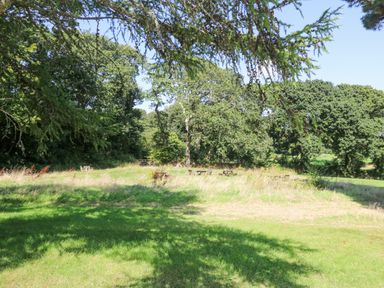 A grassy field with picnic tables and trees at Ash in Truro
