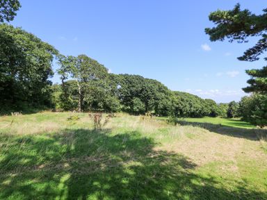 A grassy field with picnic tables and trees under a clear sky at Ash in Truro