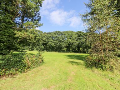 A grassy field surrounded by trees and bushes under a partly cloudy sky at Ash in Truro
