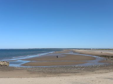 A beach with wet sand and people walking near the shoreline under a clear blue sky at Sea Spray in Dinas Dinlle