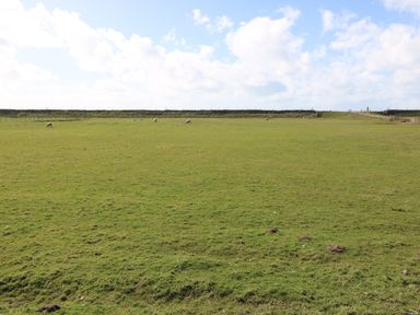 A green field with sheep grazing under a blue sky at Sea Spray in Dinas Dinlle