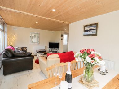A living room with sofas a tv and flowers on a table at Y Caban Clyd in Morfa Nefyn