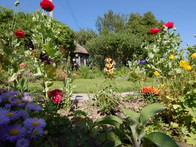 A garden with various colorful flowers and greenery and a thatched gazebo in the background at Appletree Cottage in Higher Brimley near Bovey Tracey