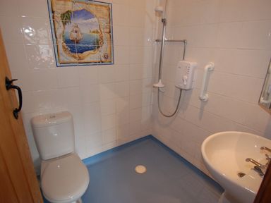 A bathroom with a white toilet a white sink a shower with a showerhead and a control unit and a tile picture on the wall at The Milking Parlour in Wookey