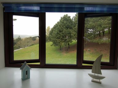 A window with three sections and blue valance overlooking a grassy area with trees at Pine Cottage in Maenporth