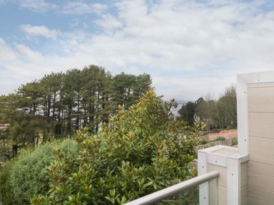 A view of trees and a balcony railing under a partly cloudy sky at Monkbarns in Brixham