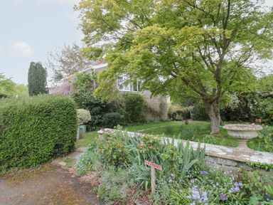 A garden with a large tree flowers and a stone planter at The Granary in Edington near Street and Glastonbury