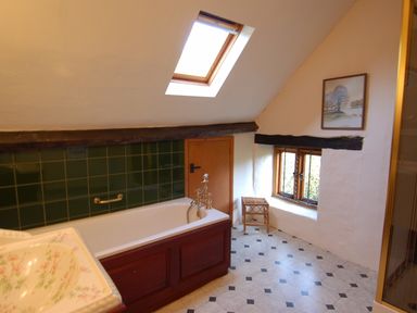 A bathroom with a bathtub and sink under a skylight and a window at Surridge Farmhouse in Waterrow