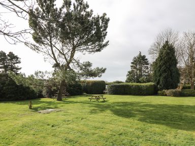 A grassy outdoor area with trees bushes and picnic tables at Muriau Park in Caernarfon