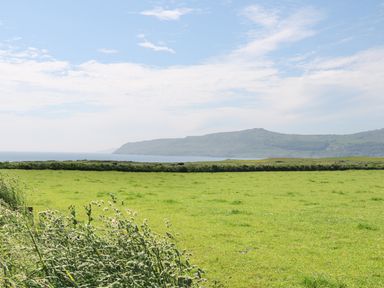 A green grassy field with plants in the foreground and hills in the background at Trefollwyn Mawr in Abersoch