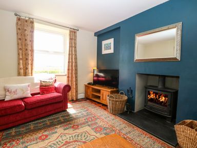 A living room with a red sofa a fireplace with a fire a TV on a wooden stand and a woven basket at Trefollwyn Mawr in Abersoch