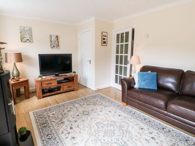 A living room with a brown leather sofa with blue and white cushions a wooden TV stand with a television and small plants a patterned rug on a wooden floor a glass door and lamps at 14 The Maltings in Rothbury
