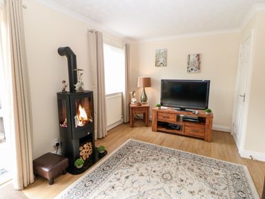 A living room with a wood stove TV on a wooden stand a side table with a lamp and a patterned rug at 14 The Maltings in Rothbury