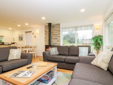 A living room with gray sofas and tree patterned pillows a wooden coffee table with books and games near a fireplace and dining table at Beech in Truro