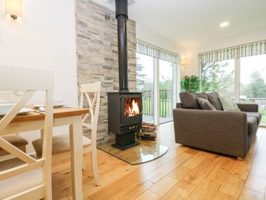 A dining table with chairs a wood stove a sofa and large windows showing a garden at Beech in Truro