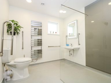 A bathroom with a toilet a sink a mirror a shower area and a plant at Beech in Truro