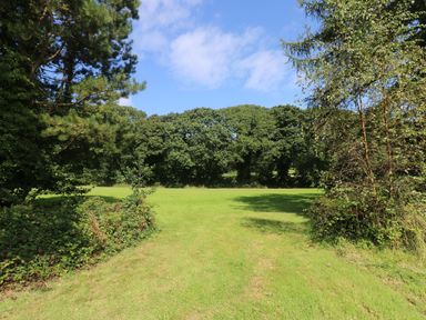 An open grassy area surrounded by trees under a blue sky at Beech in Truro
