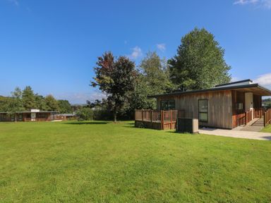 A grassy outdoor area with trees and wooden buildings under a blue sky at Beech in Truro